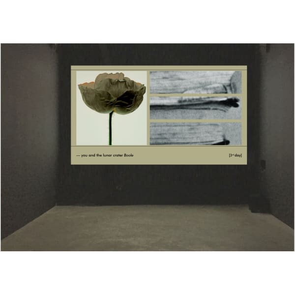 Suzanne-Lafont_How-Things-Think_exhibition_2021_erna-hecey-luxembourg