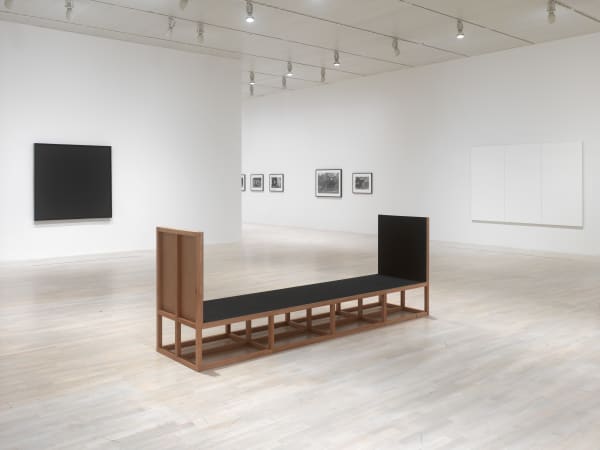 Little Warsaw double locus installation the body of god 2015_erna_hecey