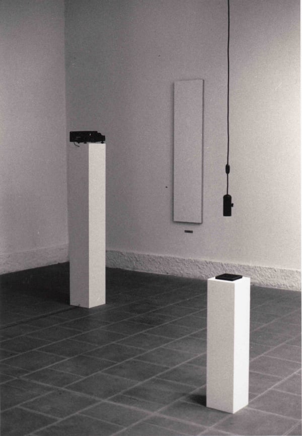 bert theis_vivisezione_light installation_1993