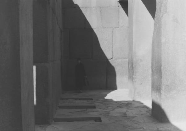 jeff weber_mimetic assimilation_exhibition erna hecey_untitled