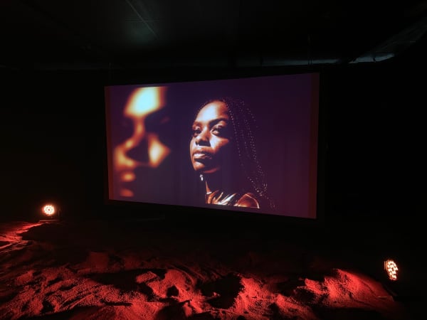 Caecilia Tripp interstellar sleep toronto biennal installation