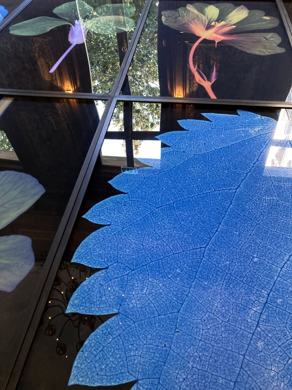 Suzanne Lafont, New Companion Species, 2018-2019 Floor installation of 12 archival pigment print on cotton rag paper, 160 x 106,7 cm (unframed), 165 x 111,5 cm (framed) 330 x 1350 x 12 cm, Unique Courtesy of the artist & Erna Hecey Gallery