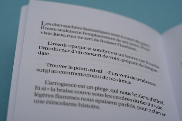 Eugénie Paultre, Le temps presse, 2022, Edition Atelier Bern, 12 x 16 cm, 104 pages, ph: Lorenzo Conti