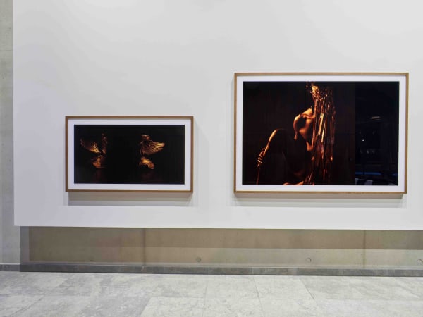 Of Beauty, Blackness and Power (group exhibition), Arendt House, Luxembourg, 2020 © Arendt & Art and Eric Chenal