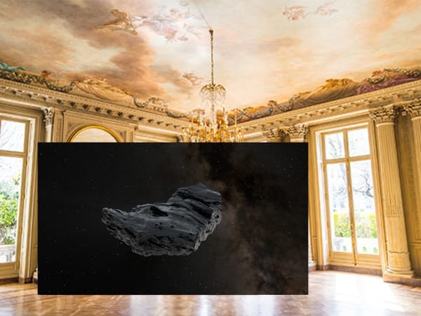Caecilia Tripp, BLACK PHOENIX RISING, 2022 DIASEC with augmented reality and sculpture with soundscape, 160 x 120 DIASEC, edition of 3 + 2 AP. Exhibition view, Hôtel Salomon de Rothschild, Offscreen Paris, 2022