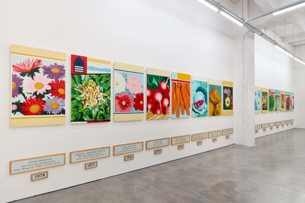 Installation view, Jef Geys, You don't see what you think you see, WIELS, Brussels, 2024 Courtesy to WIELS, photo: We Document Art