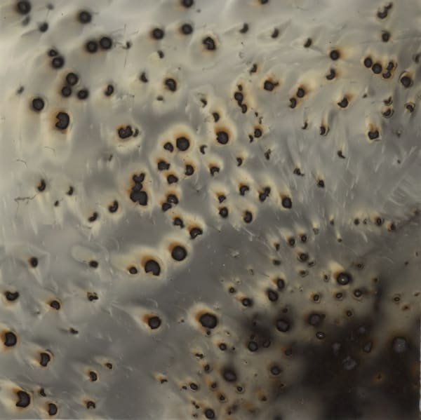 Christopher Colville, W.O.F., .07-03-15, 2014