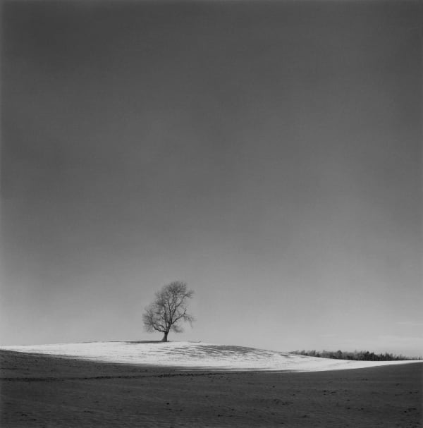 Paul Hart, March V, 2020-2024