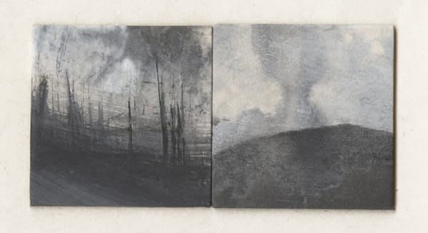 Ellen McMahon, What is Lost, V, 2022
