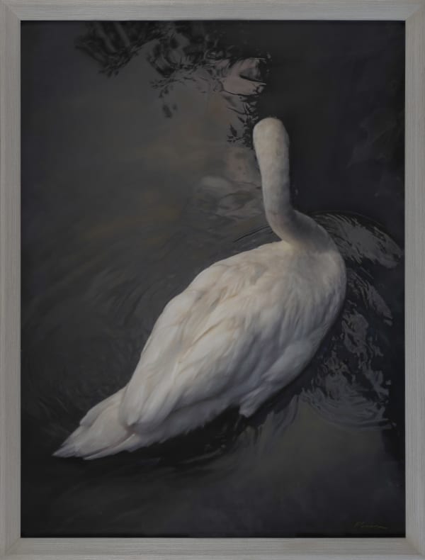 Kate Breakey White Swan from the series Ghosts of Love, n.d.