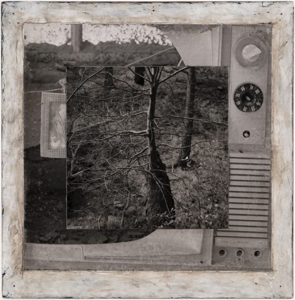 Michael P. Berman Gila Trinity #42, 2024