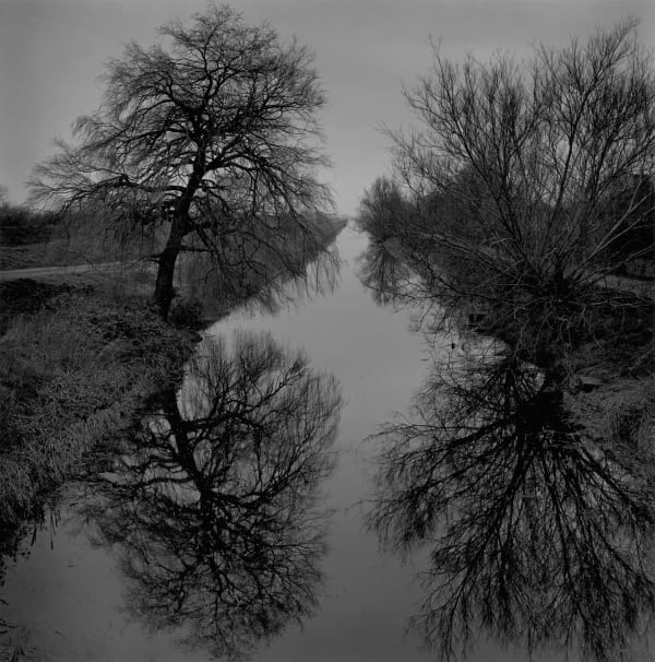 Paul Hart Old Bedford River, 2019