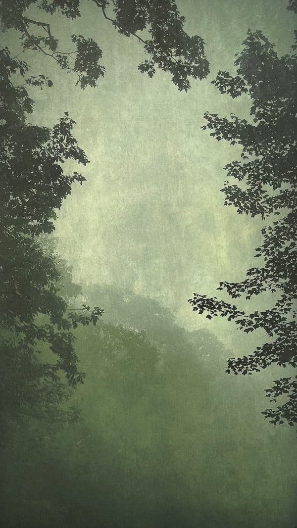Wendi Schneider, Into the Mist VI, 2020