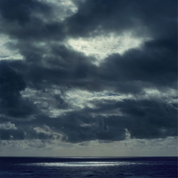 Debra Bloomfield, Oceanscape R, 2003