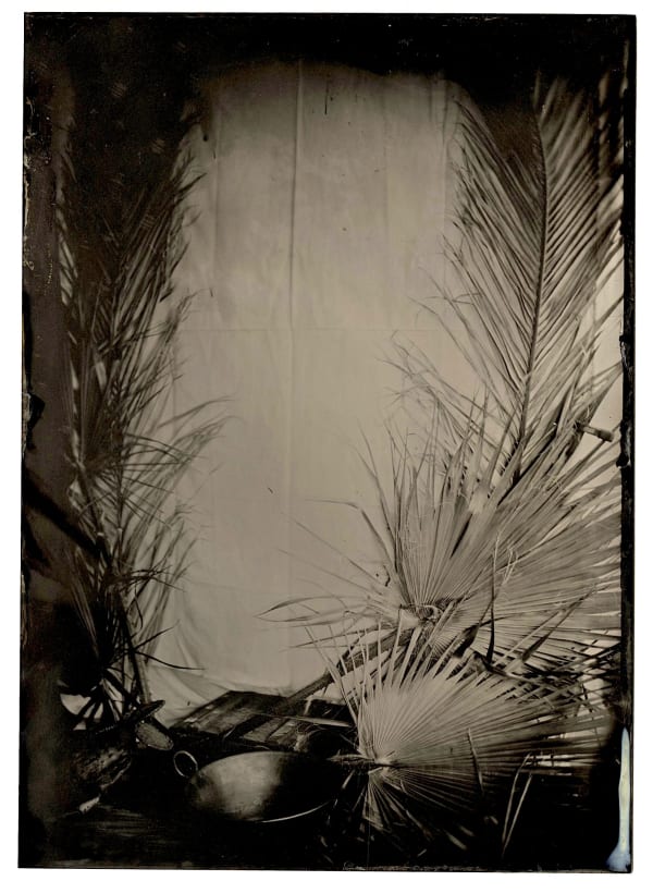 Palmira Miro Gutierrez , Tiera Stage, n.d.