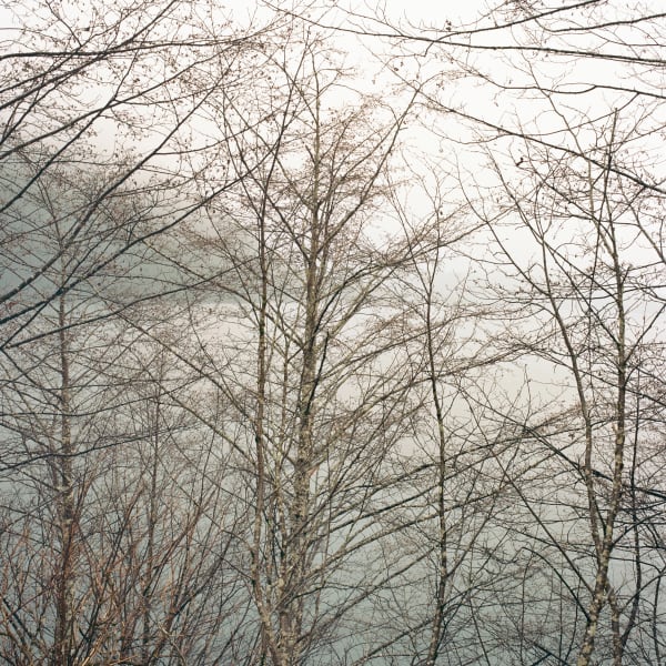 Debra Bloomfield, 34710-8-08, 2008