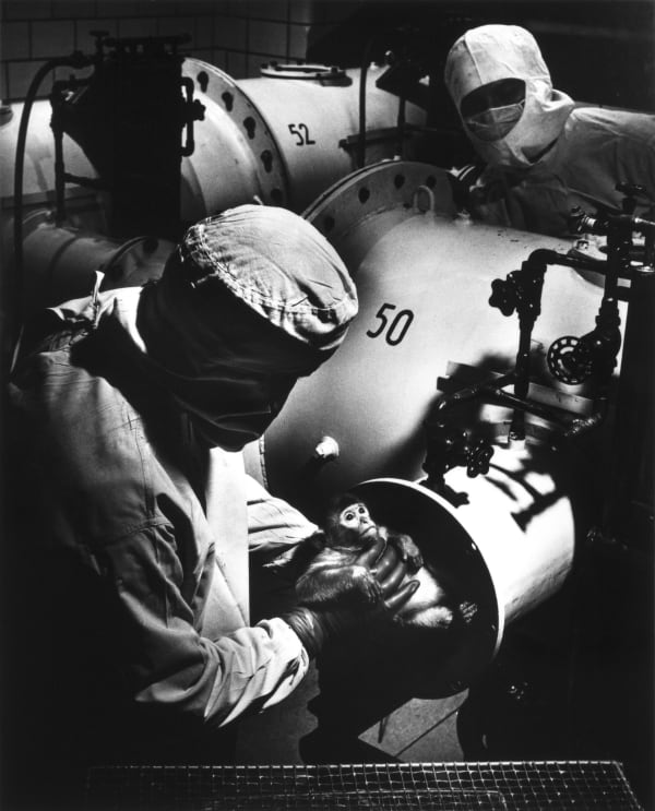 W. Eugene Smith, Untitled, from Life Without Germs, 1949