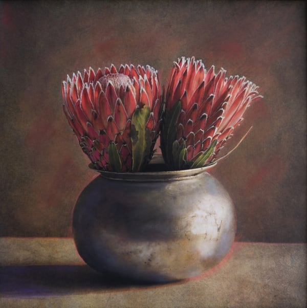 Kate Breakey Two Protea, n.d.
