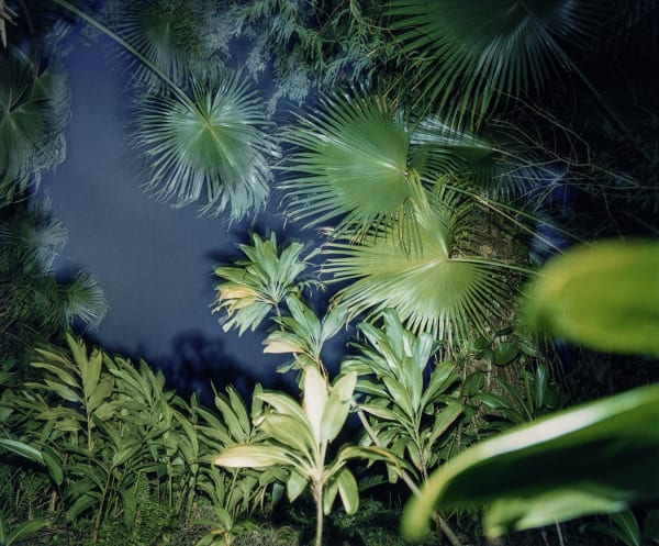 Richard Misrach, Untitled, from the Hawaii Portfolio, 1978