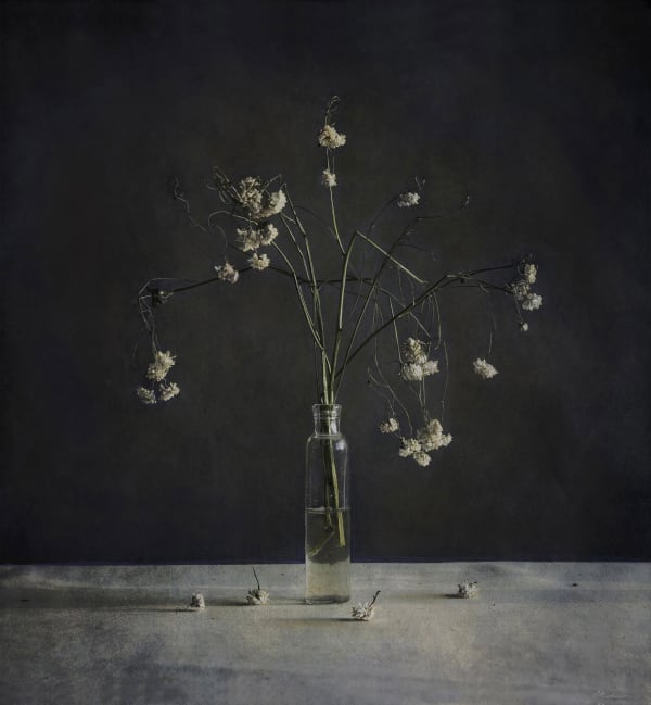 Kate Breakey White Flowers in Bottle, n.d.