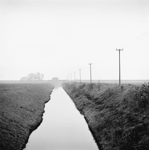 Paul Hart Leverton, 2016