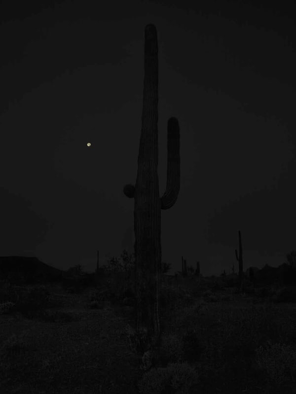 Mark Klett, Saguaro in darkness w moon Nov 2018, 2018