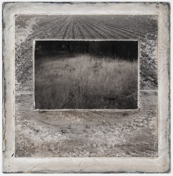 Michael P. Berman Gila Trinity #22, 2024