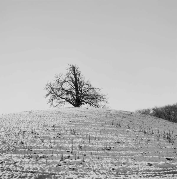 Paul Hart, February IX, 2020-2024