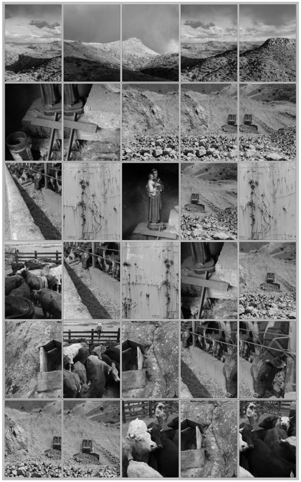 Michael P. Berman Santos, from Perdido, 2016