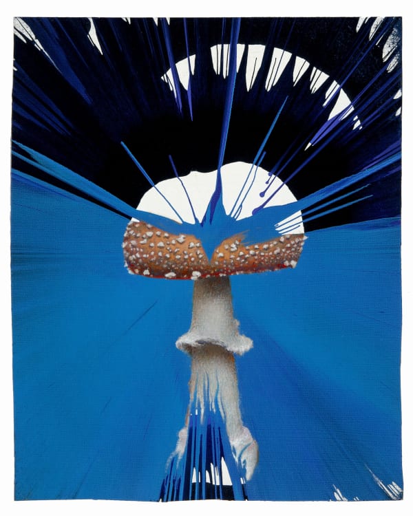 Chris Rush, Midnight, 2023