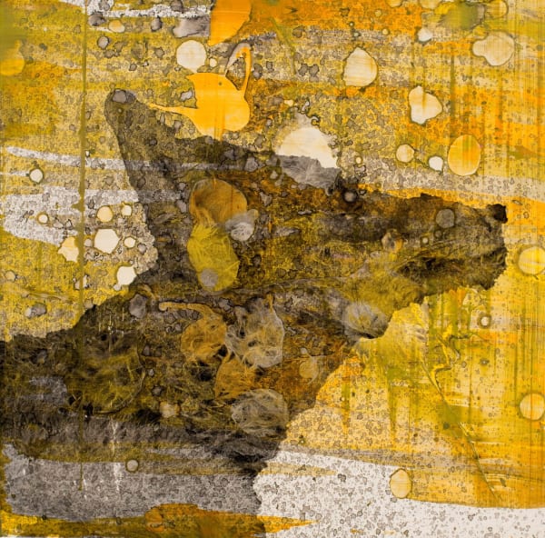 Holly Roberts - Coyote Head, 2019