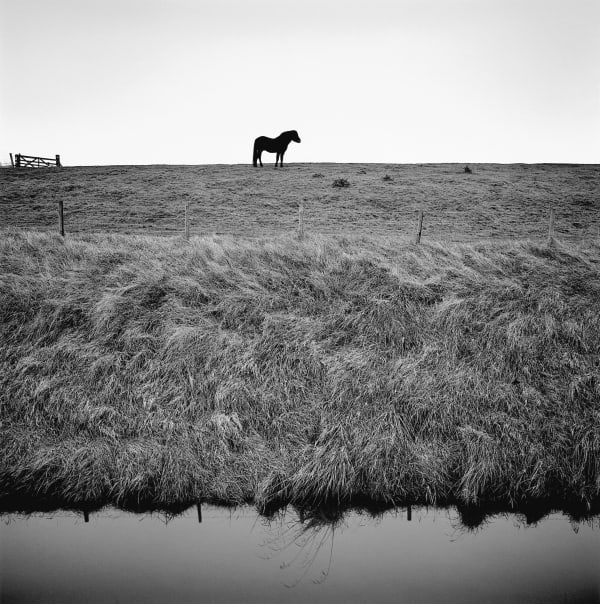 Paul Hart, Sea Bank, 2016