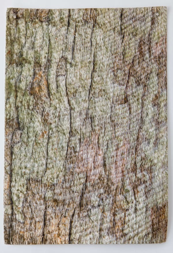 Laurie Lambrecht, Captiva , 2013