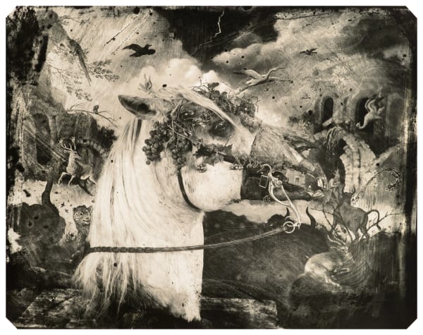 Joel-Peter Witkin, Printemps, NM, 1993