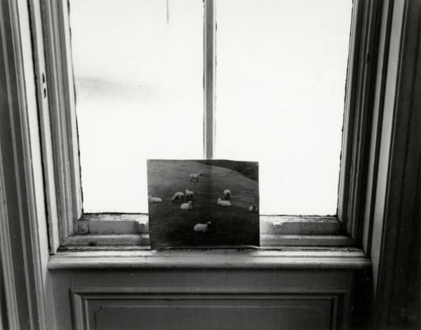 Emmet Gowin, Providence, RI. , 1965