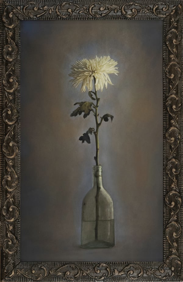 Kate Breakey Single Spider Chrysanthemum, n.d.