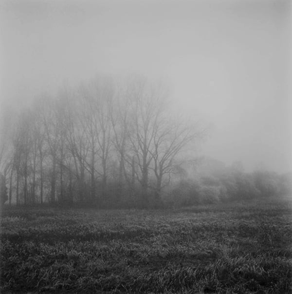 Paul Hart, November IV, 2020-2024