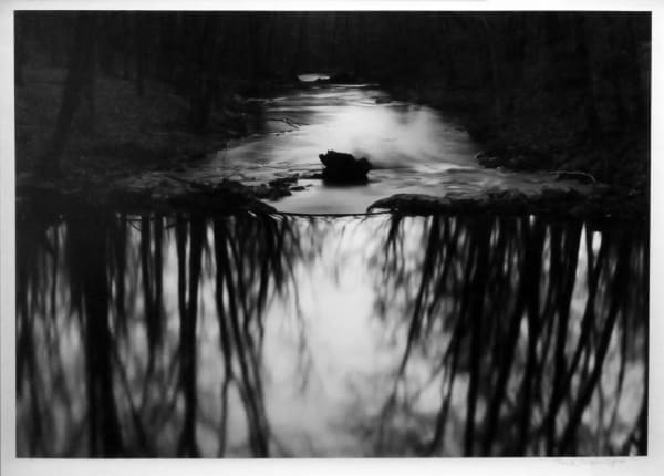 Paul Caponigro, Redding Woods, Connecticut, 1968