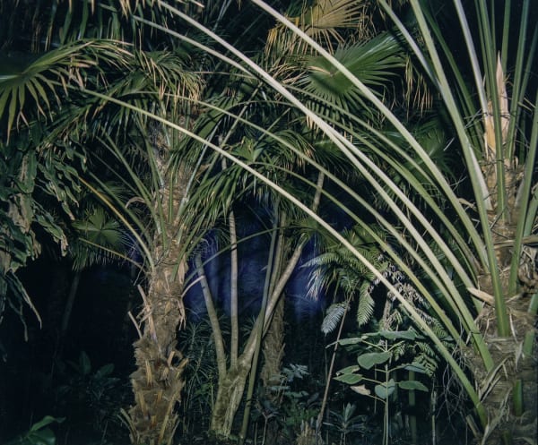 Richard Misrach, Untitled, from the Hawaii Portfolio, 1978
