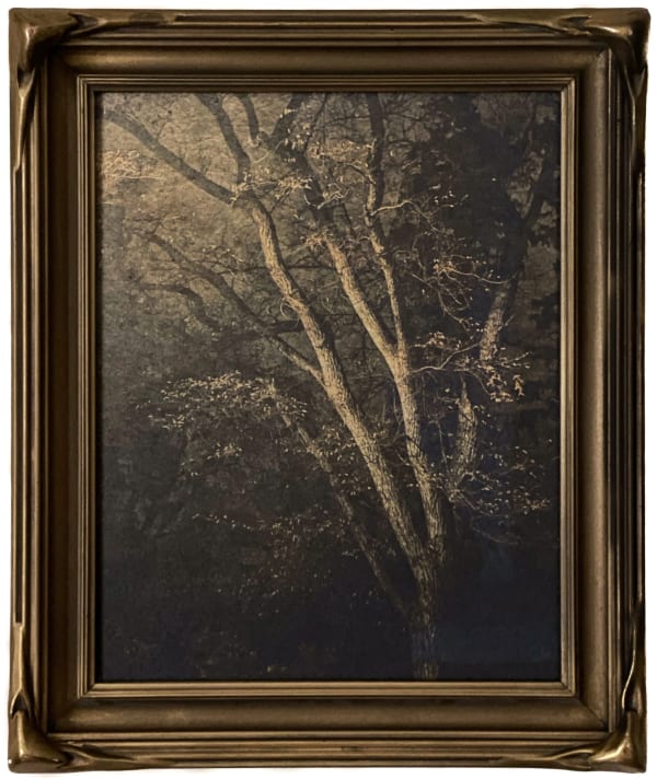 Wendi Schneider, Under the Tree, 2019