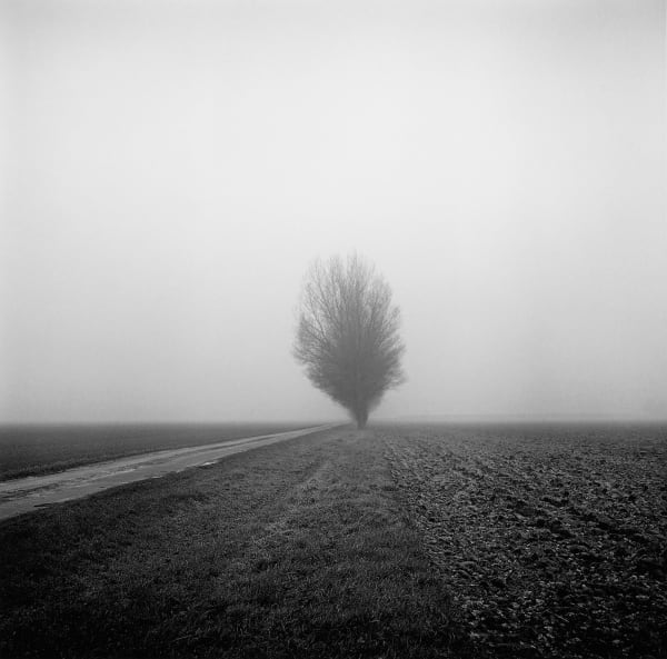 Paul Hart, Lundy's Farm, 2013