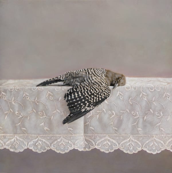 Kate Breakey, Woodpecker on Tablecloth, n.d.