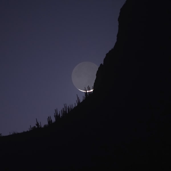 Kate Breakey Fingernail Moon Setting Over Safford Peak, January, 2021, n.d.