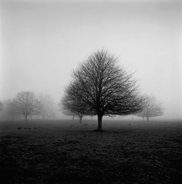 Paul Hart Brothertoft Hall, 2019