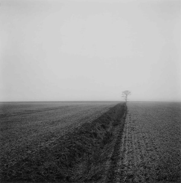 Paul Hart, December XIV, 2020-2024