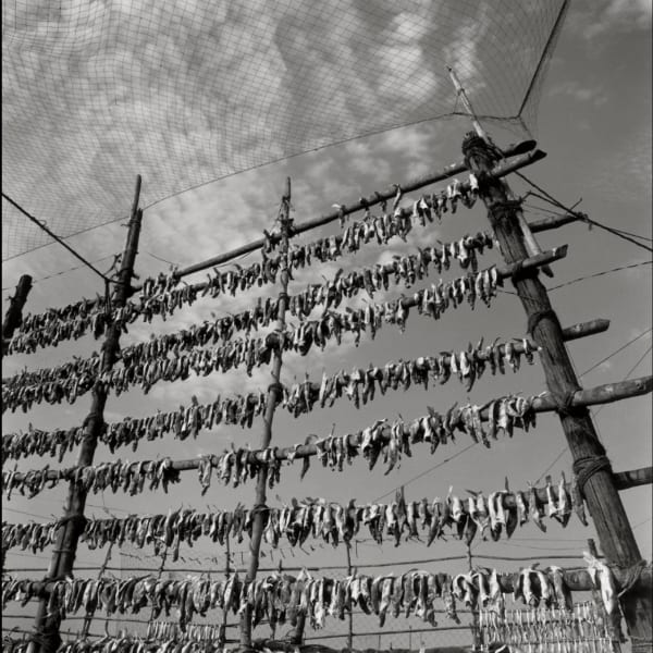 Graciela Iturbide, Mercado Bombay, 1999