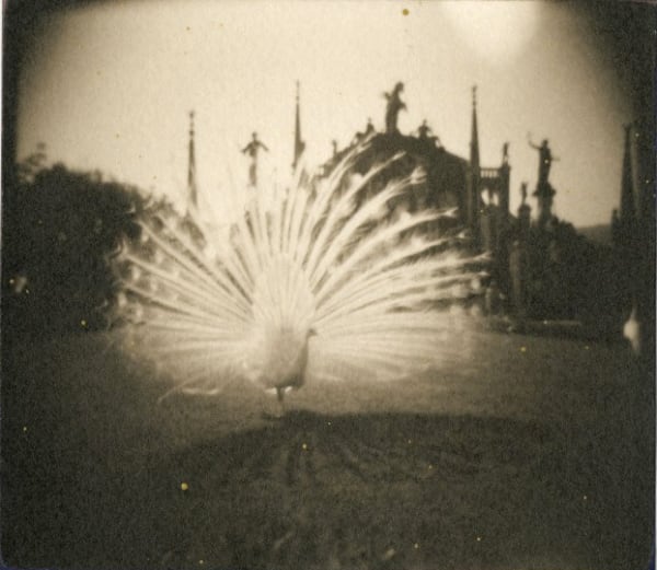 Masao Yamamoto, #714, from A Box of Ku, n.d.