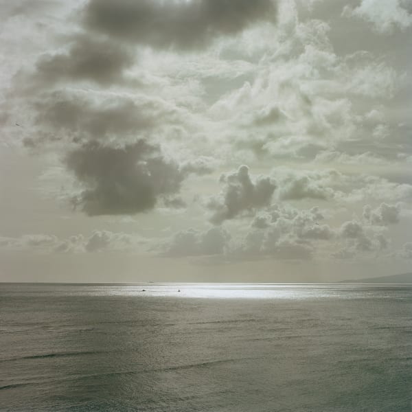 Debra Bloomfield, Oceanscape P-1, 2002