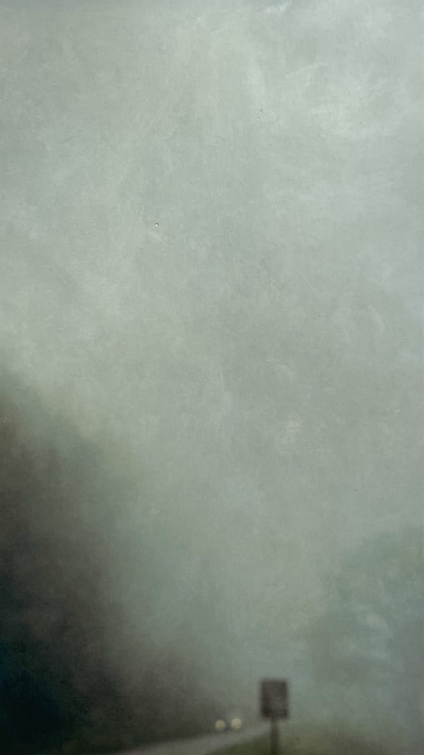 Wendi Schneider, Into the Mist X, 2020