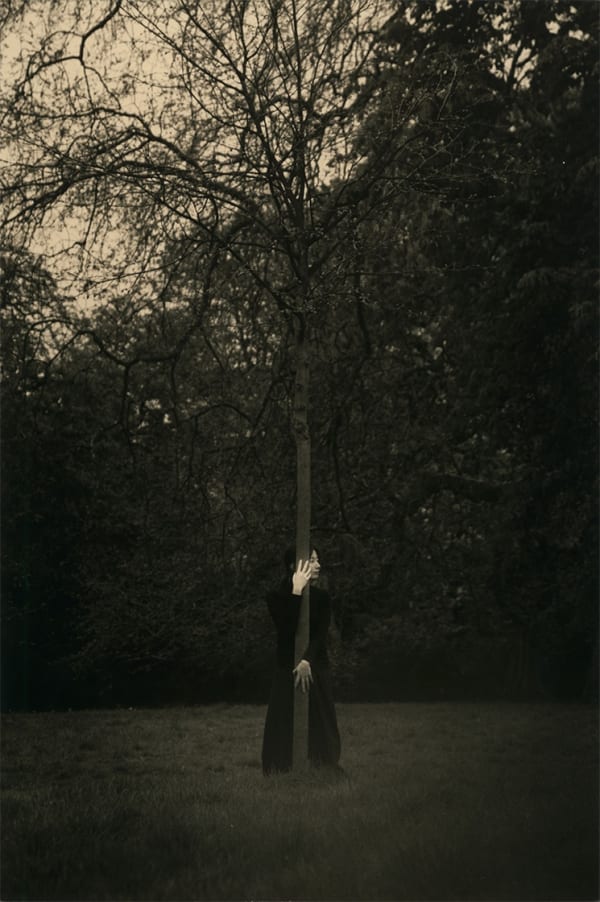 Yamamoto Masao, Tomosu #6007